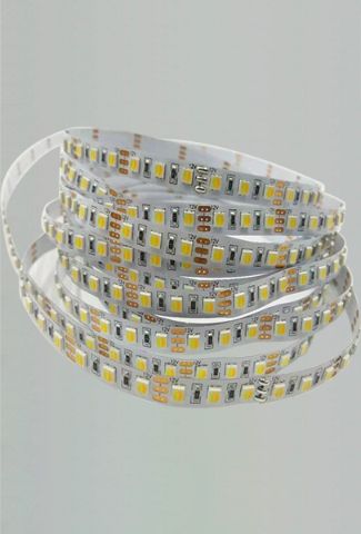 Dual CCT 3535 Dual white SMD flexible led strip 96leds/m with 8mm width